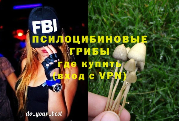 дурь Алзамай