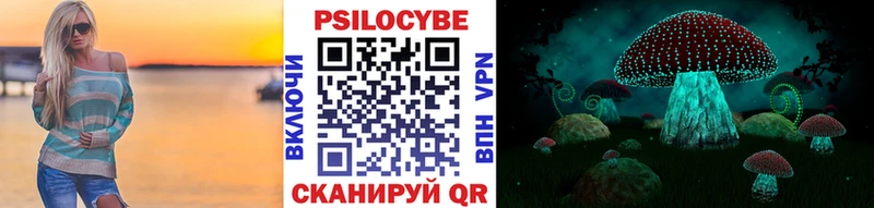 Псилоцибиновые грибы Cubensis  Кукмор 